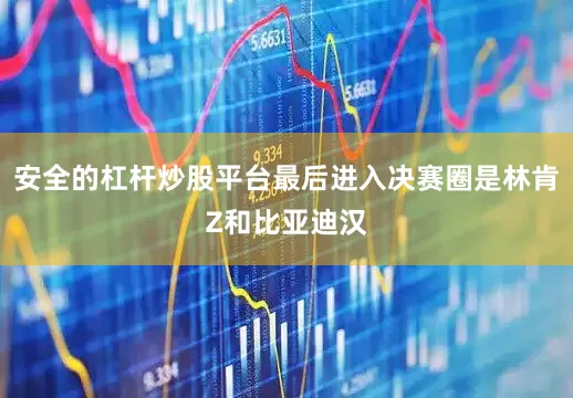 安全的杠杆炒股平台最后进入决赛圈是林肯Z和比亚迪汉
