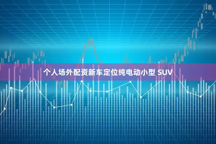 个人场外配资新车定位纯电动小型 SUV