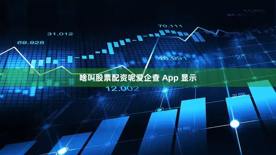 啥叫股票配资呢爱企查 App 显示