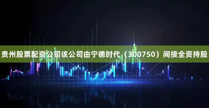 贵州股票配资公司该公司由宁德时代（300750）间接全资持股