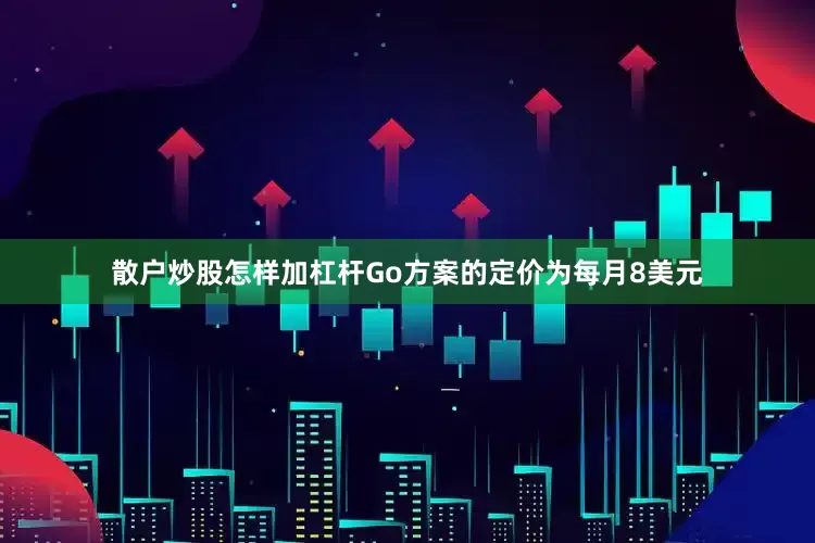 散户炒股怎样加杠杆Go方案的定价为每月8美元