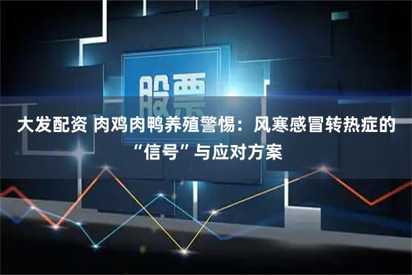 大发配资 肉鸡肉鸭养殖警惕:风寒感冒转热症的“信号”与应对方案